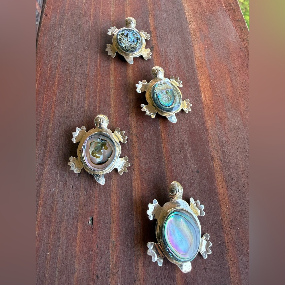Silver Turtle Brooch Set with Abalone Shell